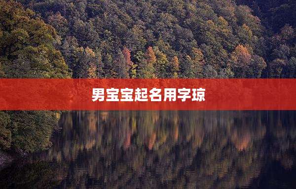 男宝宝起名用字琼