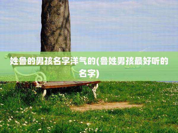 姓鲁的男孩名字洋气的(鲁姓男孩最好听的名字)