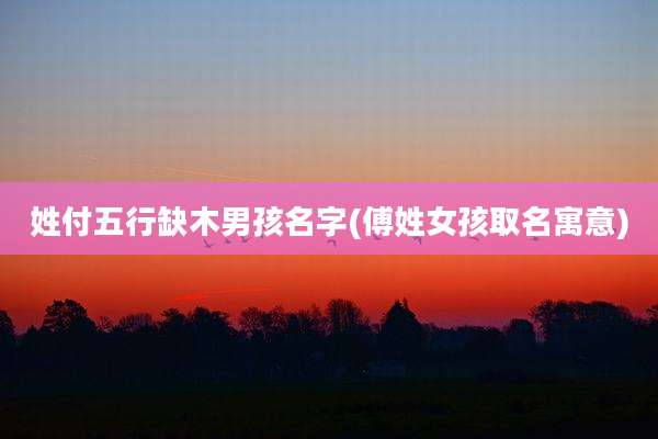 姓付五行缺木男孩名字(傅姓女孩取名寓意)