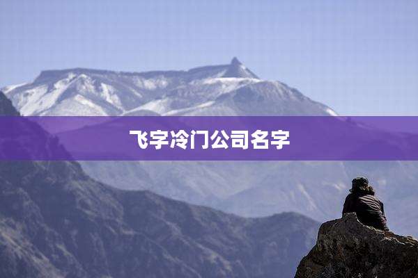 飞字冷门公司名字