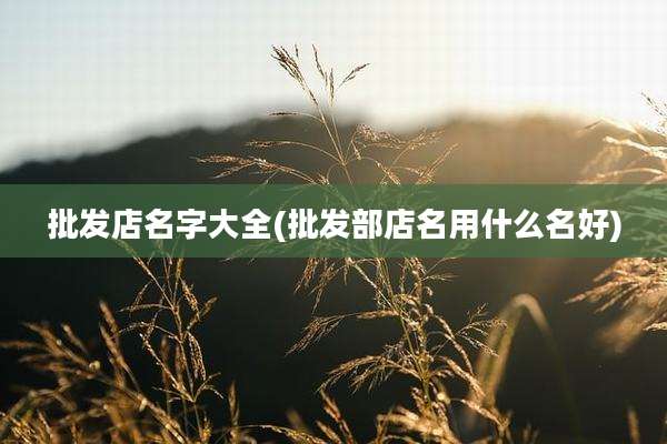 批发店名字大全(批发部店名用什么名好)