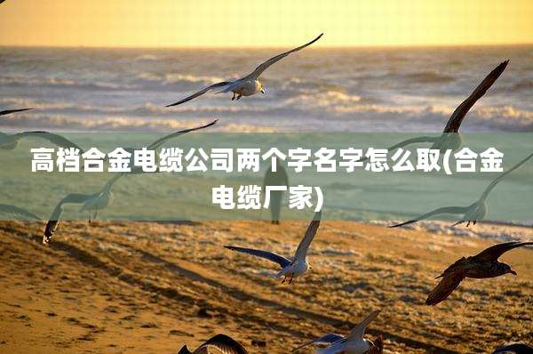 高档合金电缆公司两个字名字怎么取(合金电缆厂家)