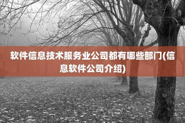 软件信息技术服务业公司都有哪些部门(信息软件公司介绍)