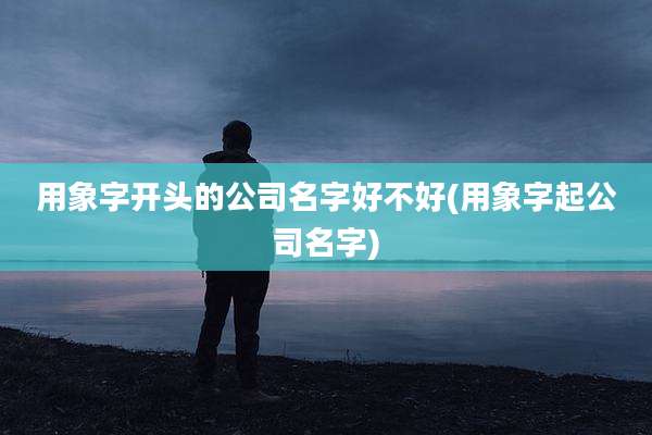 用象字开头的公司名字好不好(用象字起公司名字)
