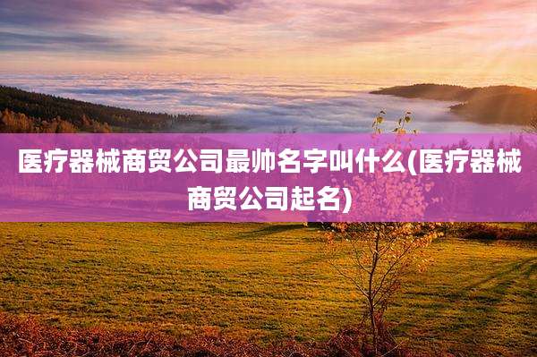 医疗器械商贸公司最帅名字叫什么(医疗器械商贸公司起名)