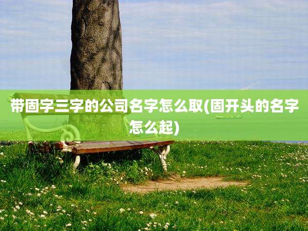 带固字三字的公司名字怎么取(固开头的名字怎么起)
