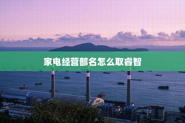 家电经营部名怎么取睿智