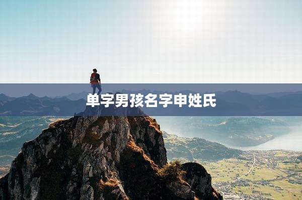 单字男孩名字申姓氏