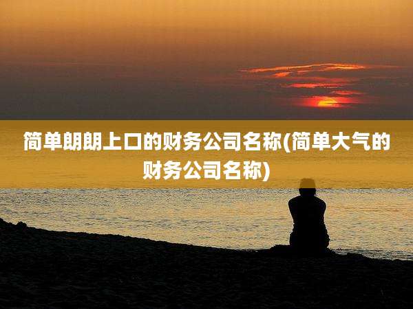简单朗朗上口的财务公司名称(简单大气的财务公司名称)