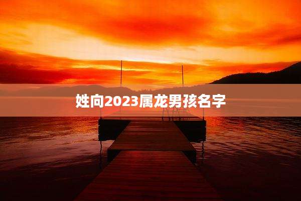 姓向2023属龙男孩名字