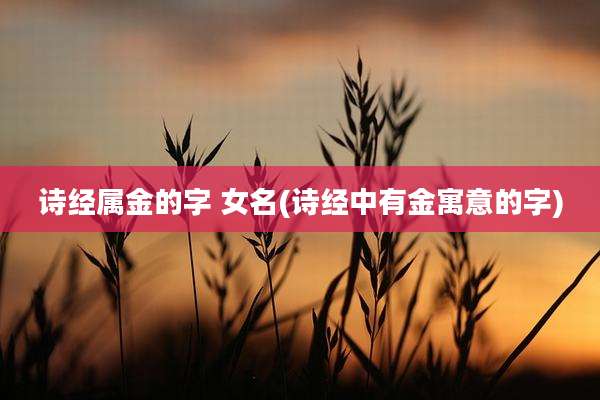 诗经属金的字 女名(诗经中有金寓意的字)