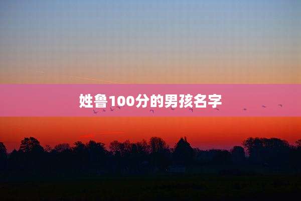 姓鲁100分的男孩名字