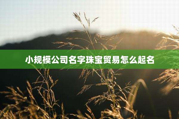 小规模公司名字珠宝贸易怎么起名