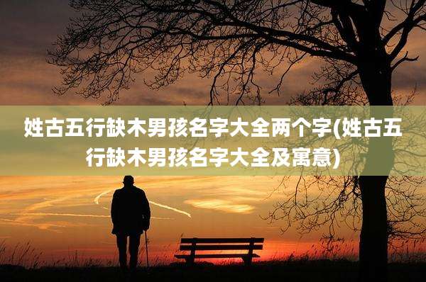 姓古五行缺木男孩名字大全两个字(姓古五行缺木男孩名字大全及寓意)