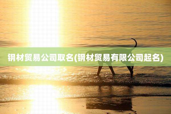 钢材贸易公司取名(钢材贸易有限公司起名)