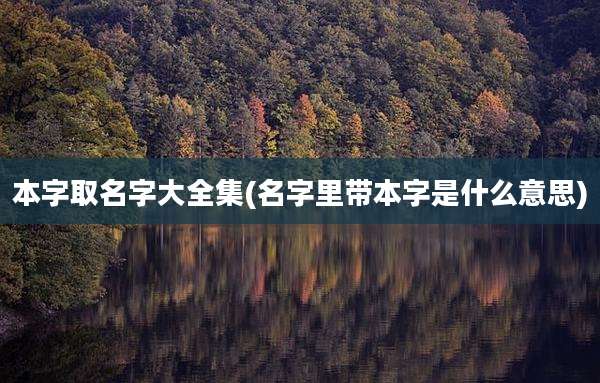 本字取名字大全集(名字里带本字是什么意思)