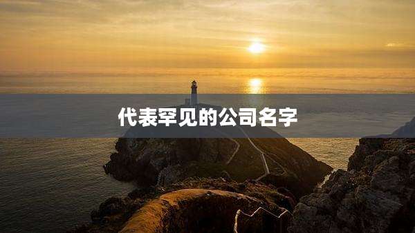 代表罕见的公司名字