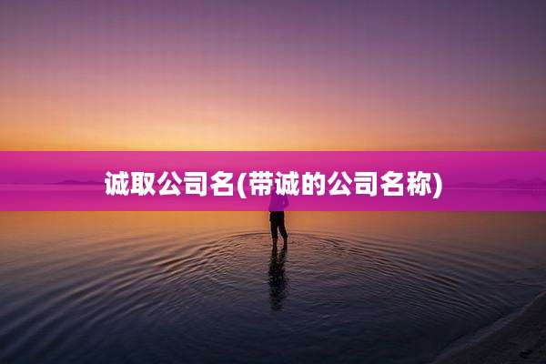 诚取公司名(带诚的公司名称)