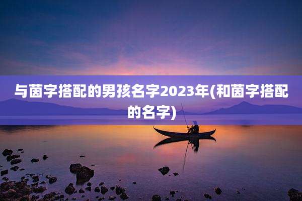 与茵字搭配的男孩名字2023年(和茵字搭配的名字)