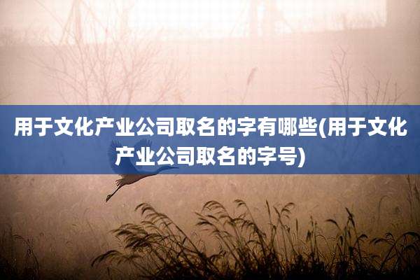 用于文化产业公司取名的字有哪些(用于文化产业公司取名的字号)