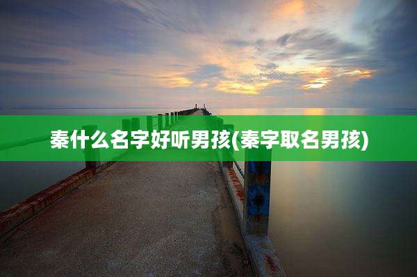 秦什么名字好听男孩(秦字取名男孩)