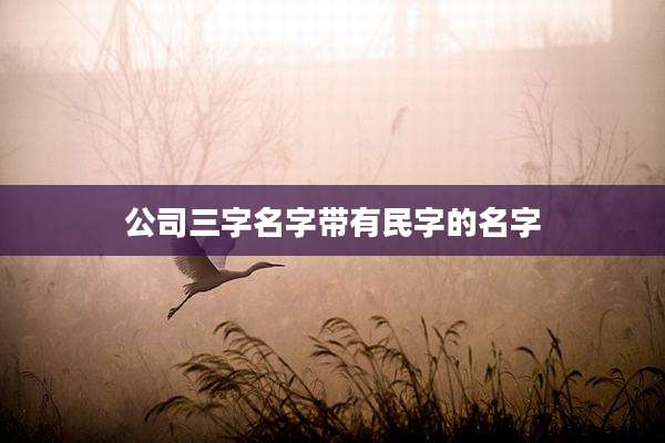公司三字名字带有民字的名字