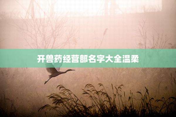 开兽药经营部名字大全温柔