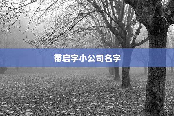 带启字小公司名字