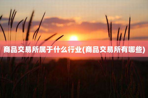 商品交易所属于什么行业(商品交易所有哪些)