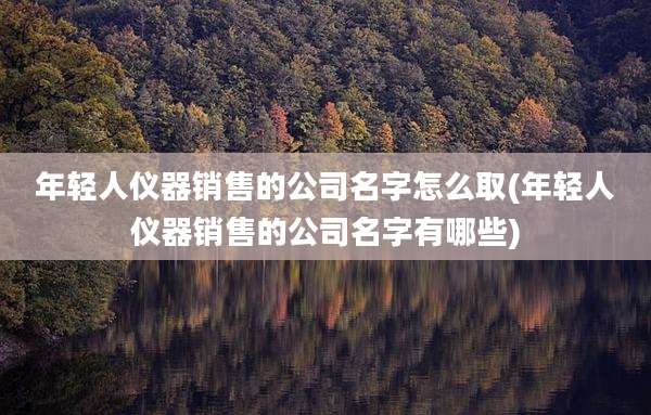 年轻人仪器销售的公司名字怎么取(年轻人仪器销售的公司名字有哪些)