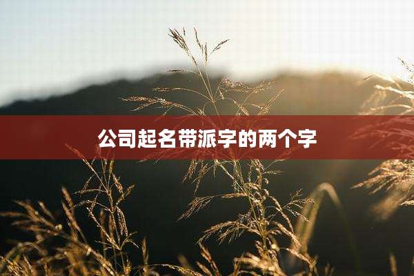 公司起名带派字的两个字