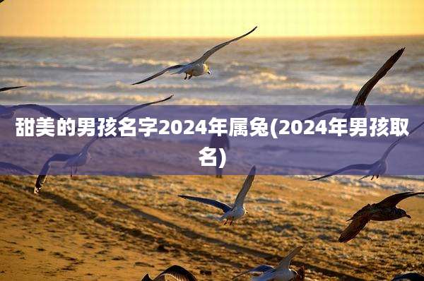 甜美的男孩名字2024年属兔(2024年男孩取名)