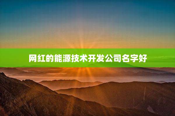 网红的能源技术开发公司名字好