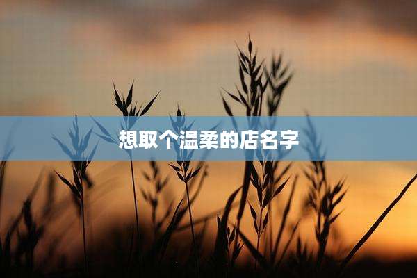 想取个温柔的店名字
