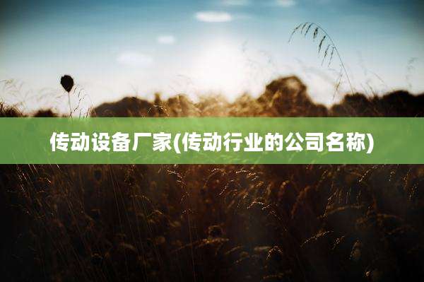 传动设备厂家(传动行业的公司名称)