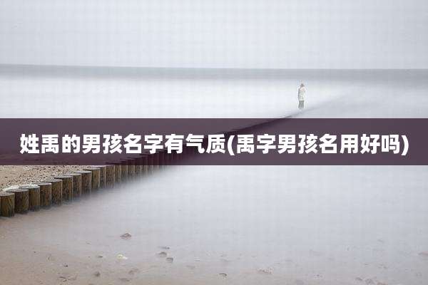 姓禹的男孩名字有气质(禹字男孩名用好吗)