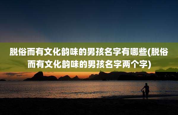 脱俗而有文化韵味的男孩名字有哪些(脱俗而有文化韵味的男孩名字两个字)