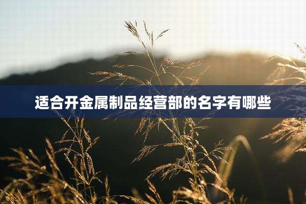 适合开金属制品经营部的名字有哪些
