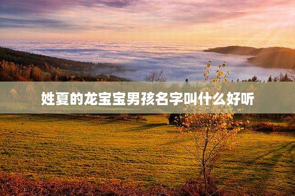 姓夏的龙宝宝男孩名字叫什么好听