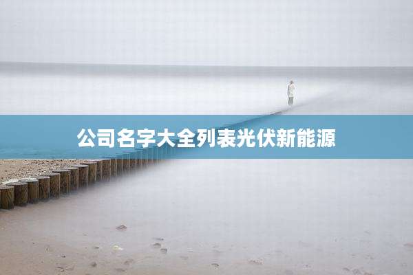 公司名字大全列表光伏新能源
