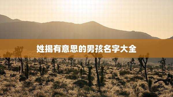 姓揭有意思的男孩名字大全