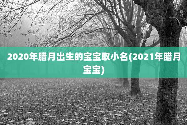 2020年腊月出生的宝宝取小名(2021年腊月宝宝)
