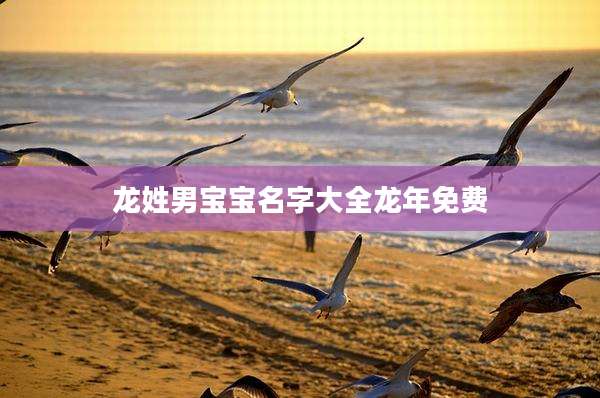 龙姓男宝宝名字大全龙年免费