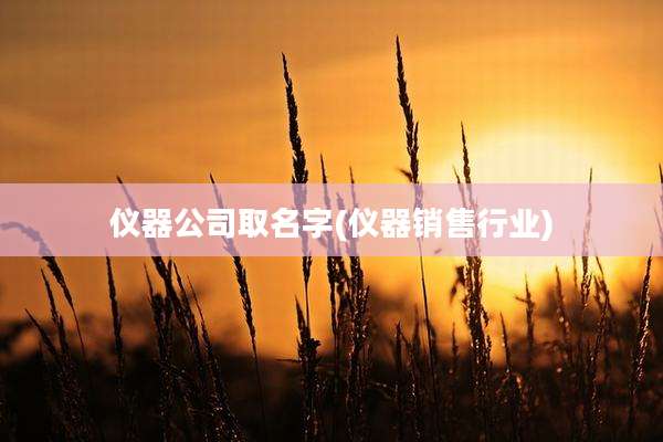 仪器公司取名字(仪器销售行业)