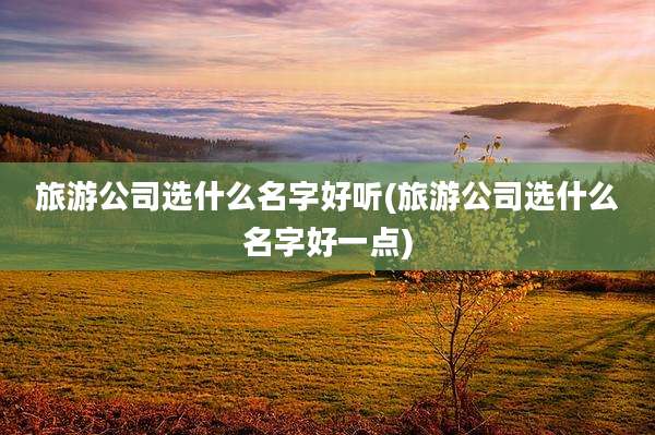 旅游公司选什么名字好听(旅游公司选什么名字好一点)