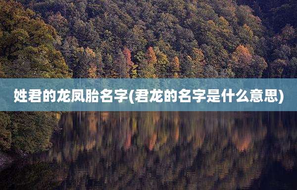 姓君的龙凤胎名字(君龙的名字是什么意思)