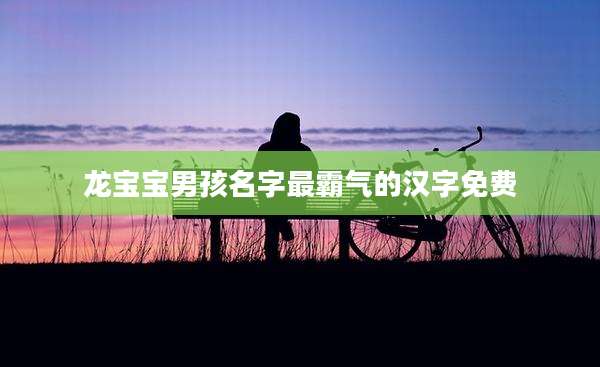 龙宝宝男孩名字最霸气的汉字免费
