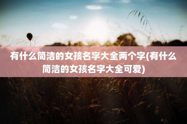 有什么简洁的女孩名字大全两个字(有什么简洁的女孩名字大全可爱)