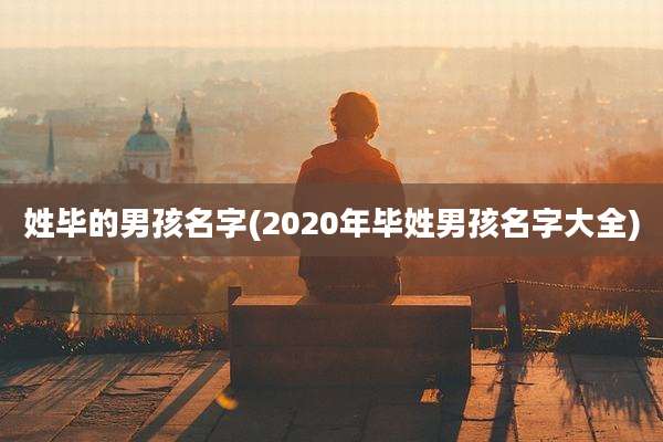 姓毕的男孩名字(2020年毕姓男孩名字大全)
