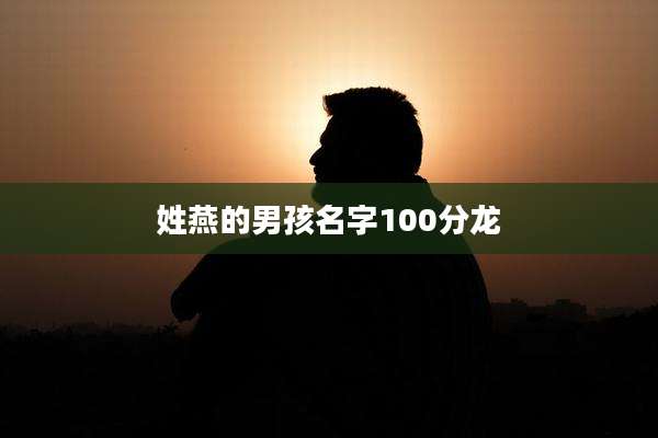 姓燕的男孩名字100分龙
